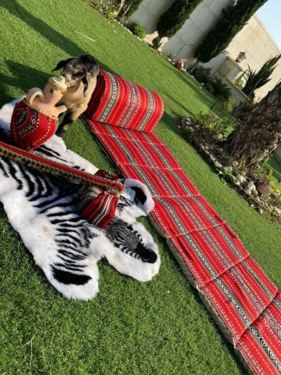 فرشة الرحلات