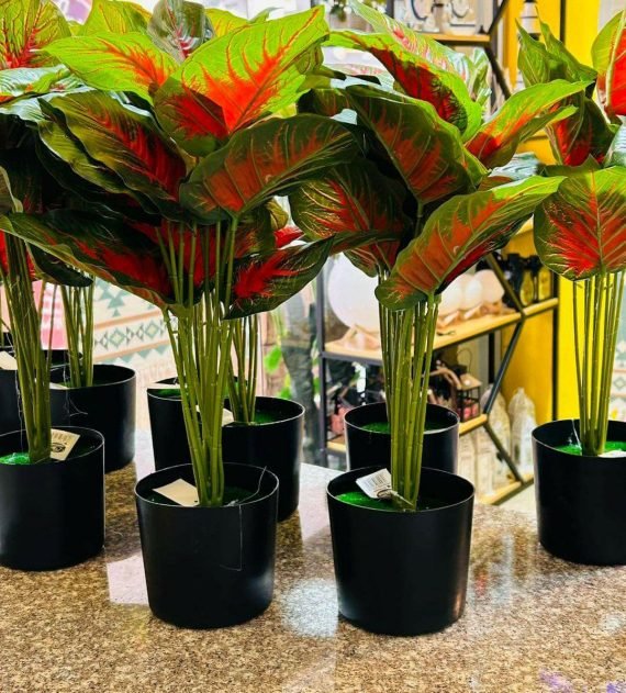 قوارة شجرة صناعية ارتفاع 60سم